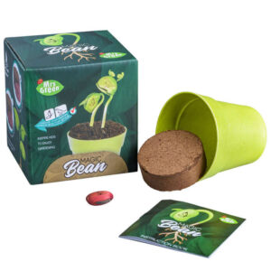 Heebie Jeebies Mrs Green Magic Beans