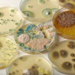 Heebie Jeebies Revolting Science - Gross Stomach-Churning Germs