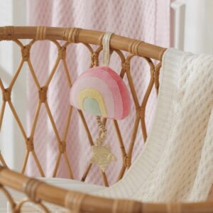 Jiggle & Giggle Musical Toy Rainbow