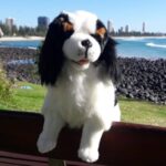 Chester Cavalier King Charles Spaniel Sitting 32cm Bocchetta Plush