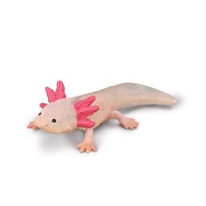 CollectA 80015 Axolotl