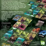 Ecosystem Card Game