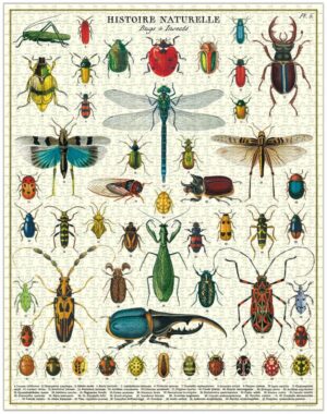 Cavallini Bugs & Insects Puzzle 1000pc