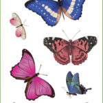 Butterflies Stickers