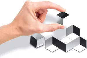 Illusion Cubes The Happy Puzzle Company