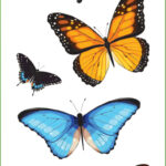 Butterflies Stickers