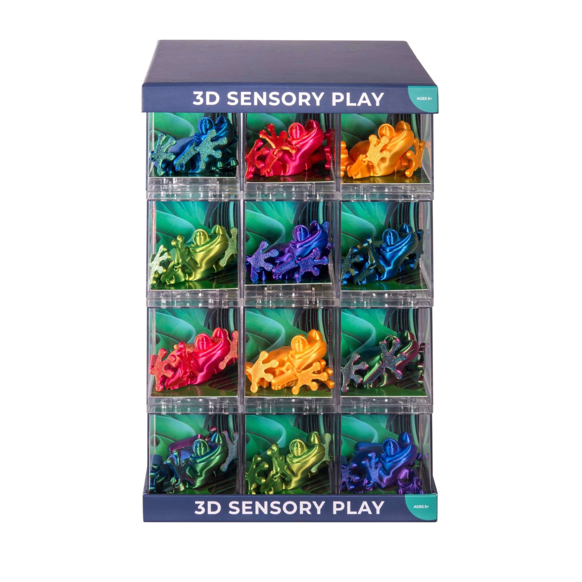3D Sensory Frog Asst (ea)