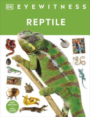 Eyewitness Reptile