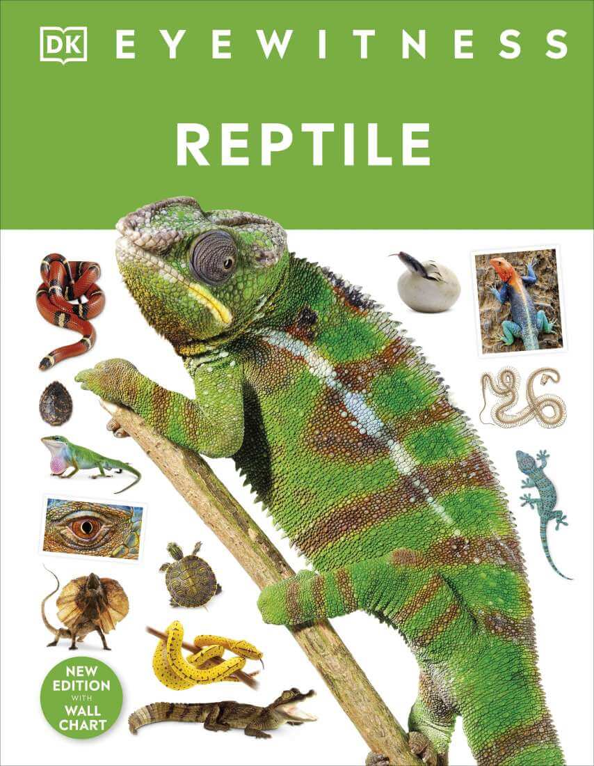 Eyewitness Reptile