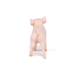 Papo P51136 Female Piglet