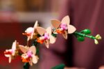 LEGO Botanicals 10343 Mini Orchid