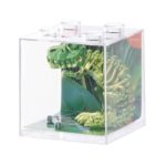 3D Sensory T­-Rex Assorted
