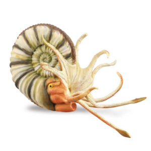 Collecta 88902 Pleuroceras Ammonite