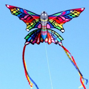 Ocean Breeze Rainbow Butterfly Single String Kite