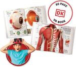 Abacus VR Gift Box Human Body!