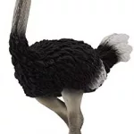 CollectA 88459 Ostrich