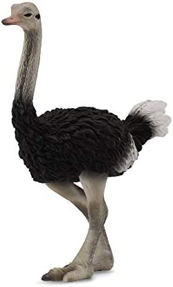 CollectA 88459 Ostrich