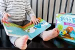 Ditty Bird Bird Songs Sound Book