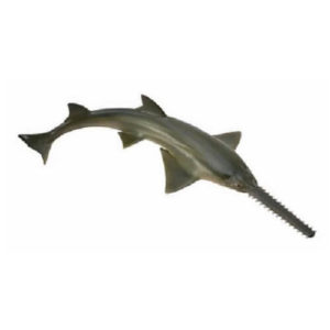 CollectA 88659 Sawfish