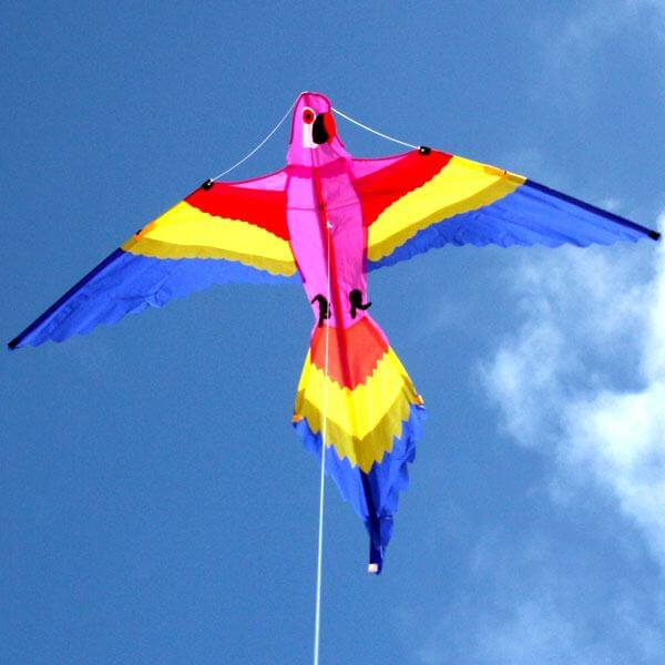 Ocean Breeze Lorikeet Single String Kite