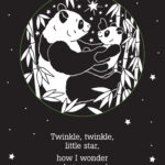 Twinkle Twinkle Little Star Shadow Book