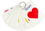 Flash Cards Set of 4