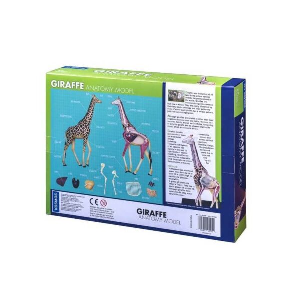 Thames & Kosmos Giraffe Anatomy Model