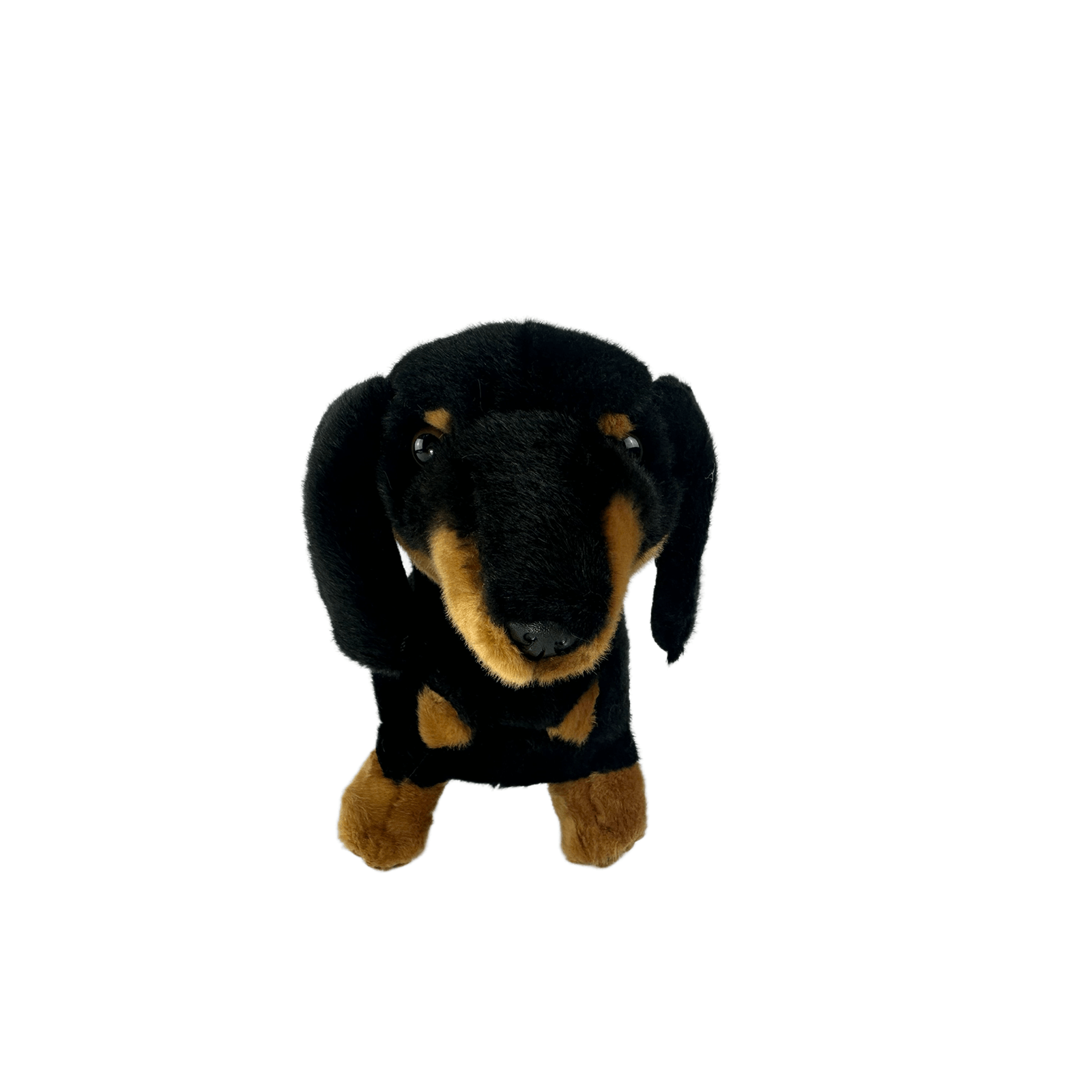 Buddy Dachshund Standing 36cm Bocchetta Plush