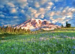 Wildflowers at Mount Rainier Puzzle 1000pcs