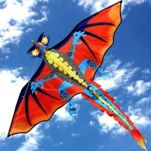 Ocean Breeze Fire Dragon Single Line Kite