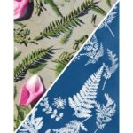 Cyanotype Sun Photography