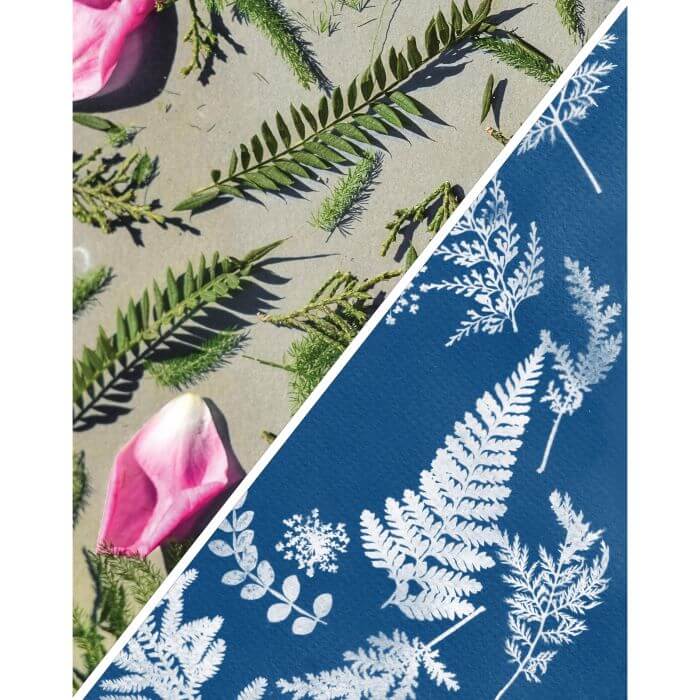 Cyanotype Sun Photography