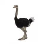 CollectA 88459 Ostrich