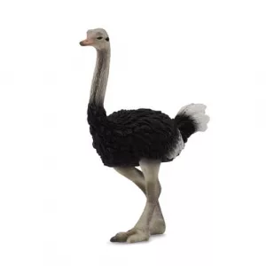 CollectA 88459 Ostrich