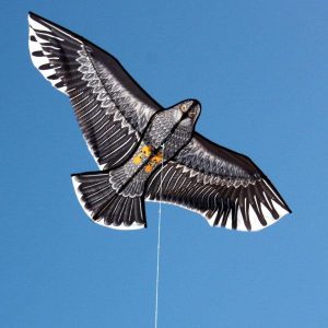 Ocean Breeze Eagle Single String Kite
