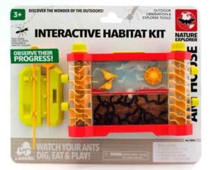 Nature Explorer Ant House