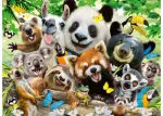 Ravensburger Wild Life Selfie Puzzle 300pc