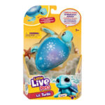 Little Live Pets Lil' Turtle Single Pk Asst