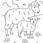 My First Colouring Book On The Farm