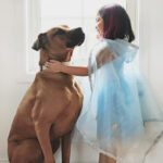 Great Pretenders Blue & Silver Crystal Snow Queen Cape Size 3-4
