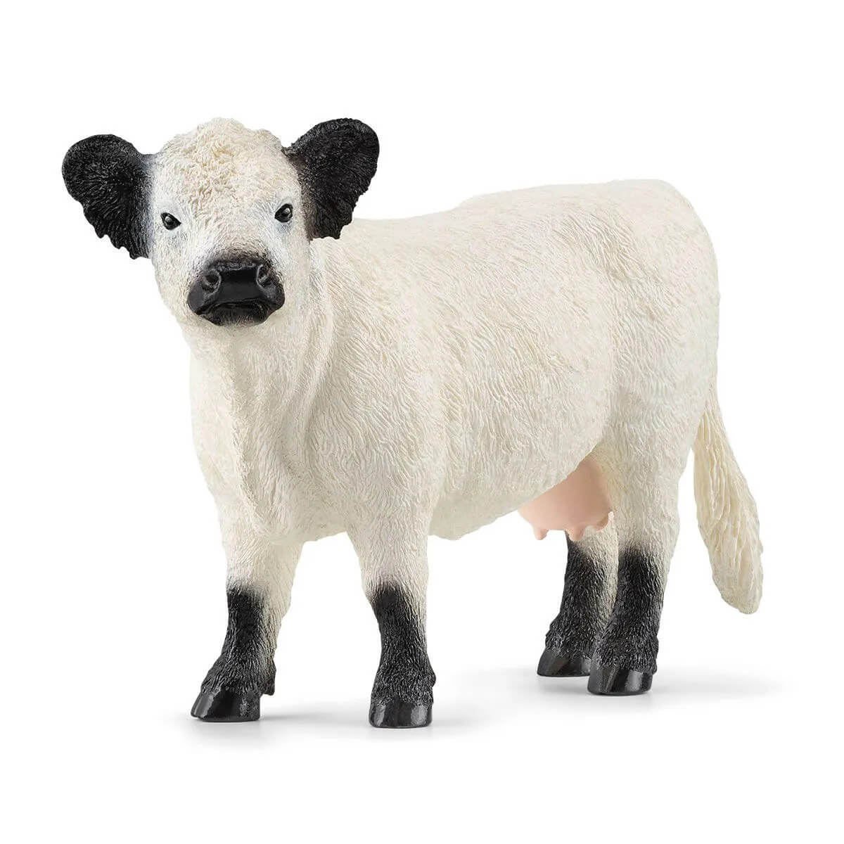 Scheich 13960 Galloway Cow