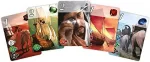 Splendor Game