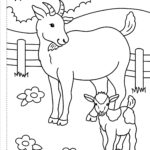 My First Colouring Book On The Farm