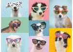 Ravensburger Funny Dogs Puzzle 150pc