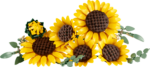 LEGO Botanicals 11502 Sunflower Bouquet