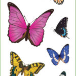 Butterflies Stickers