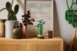 LEGO Botanicals 10344 Lucky Bamboo