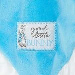Peter Rabbit Sky Blue Comforter