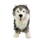 Brock Husky 35cm Bocchetta Plush