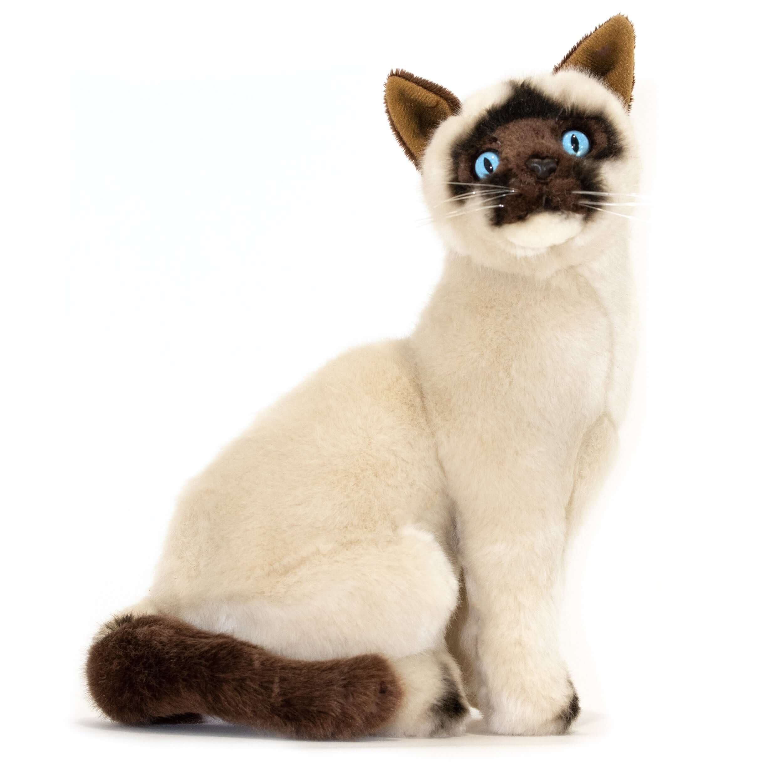 Noodles Siamese Cat 26cm Sitting Bocchetta Plush